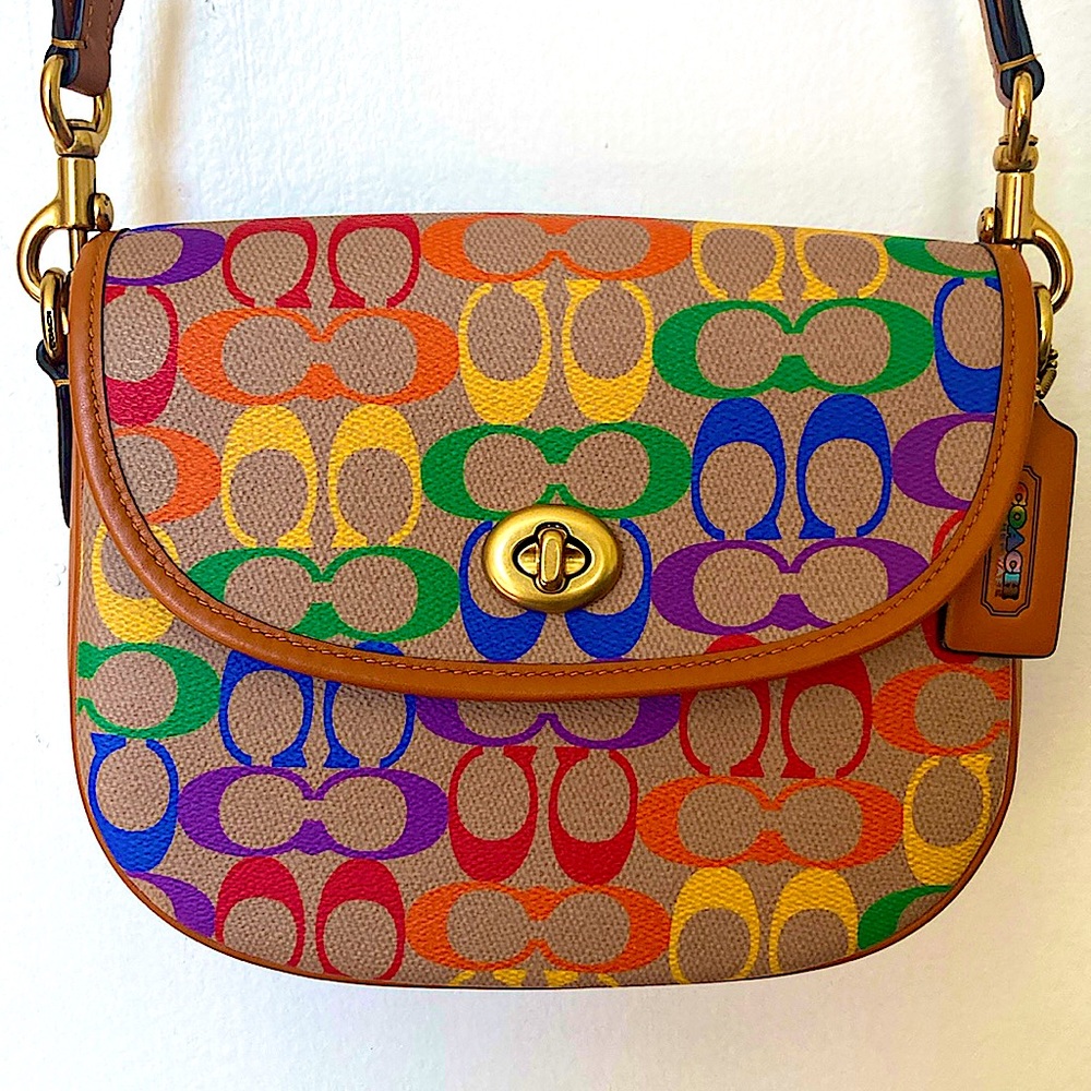 Coach Willow Saddle Bag Rainbow Signature Logo